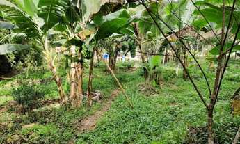 Imagem: CHACARA RURAL em IPATINGA - MG, IPANEMÃO