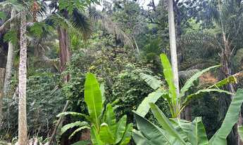 Imagem 4: SITIO RURAL em IPATINGA - MG, PEDRA BRANCA