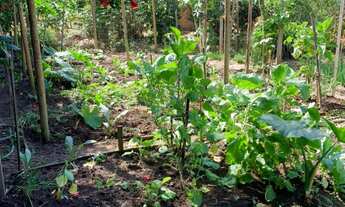 Imagem: CHACARA RESIDENCIAL em SANTANA DO PARAÍSO