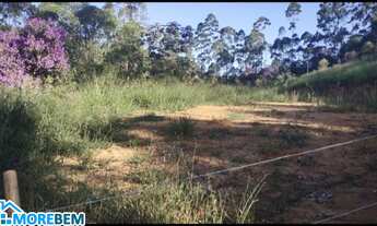 Imagem 2: CHACARA RURAL em MESQUITA - MG, SOVENO