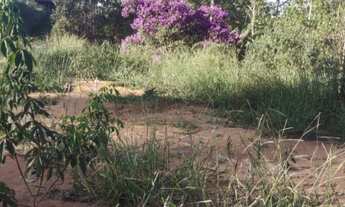 Imagem 4: CHACARA RURAL em MESQUITA - MG, SOVENO