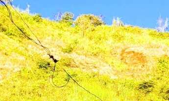 Imagem 4: CHACARA RURAL em UBAPORANGA - MG, CÓRREGO DOS FLORENTINO