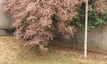 Imagem 6: CHÁCARA COM 2300 M² DE ÀREA ÚTIL SENDO 815 M² DE ÁREA CONSTRUÍDA BENFEITORIAS: CASA DUP