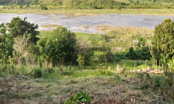 Imagem 7: CHÁCARA PARA VENDA REVÉS DO BELEM, BOM JESUS DO GALHO