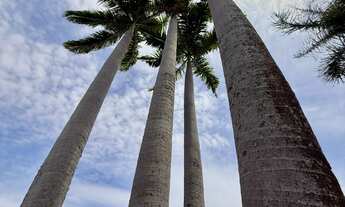 Imagem 6: Chacara residencial para Venda Lagos de Shanadu, Indaiatuba