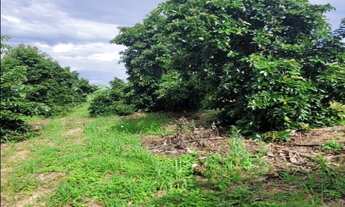 Imagem 4: Sitio residencial para venda