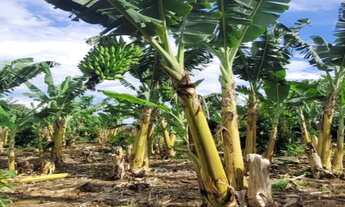 Imagem 3: Sitio residencial para venda