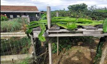 Imagem 6: Sitio residencial para venda