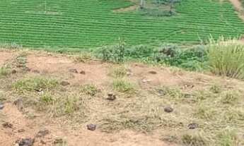 Imagem 6: TERRENO RURAL em ANDRADAS - MG, ANDRADAS