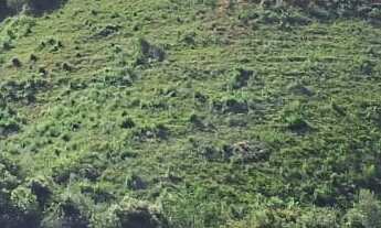 Imagem 7: TERRENO RURAL em ANDRADAS - MG, ANDRADAS