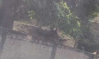 Imagem 2: TERRENO RESIDENCIAL em POÇOS DE CALDAS - MG, JARDIM SÃO PAULO