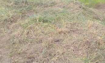 Imagem 6: TERRENO RESIDENCIAL em CALDAS - MG, CALDAS