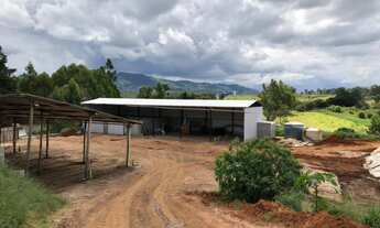 Imagem 4: SITIO RURAL em POUSO ALEGRE - MG, FERNÃO DIAS