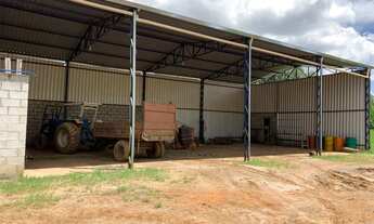 Imagem 3: SITIO RURAL em POUSO ALEGRE - MG, FERNÃO DIAS