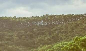 Imagem 3: TERRENO RESIDENCIAL em POÇOS DE CALDAS - MG, BORTOLAN