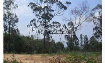 Imagem: Chácara localizada no bairro Piedade, Caçapava