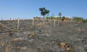 Imagem: TERRENO em Caçapava - SP, Tataúba