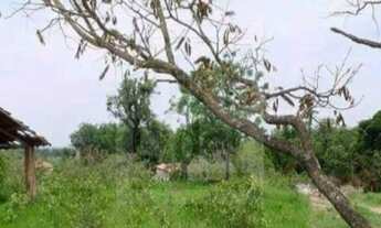 Imagem 3: TERRENO em Caçapava - SP, Tataúba