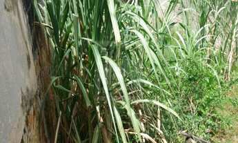 Imagem: TERRENO RESIDENCIAL em Caçapava - SP, Vila