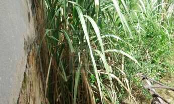 Imagem 2: TERRENO RESIDENCIAL em Caçapava - SP, Vila Menino Jesus