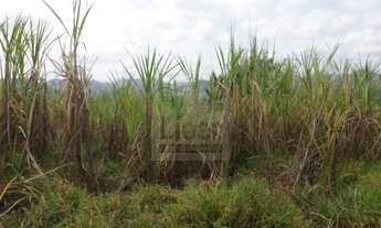 Imagem 2: CHÁCARA em Caçapava - SP, Borda da Mata