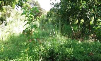 Imagem 3: CHÁCARA em Caçapava - SP, Germana