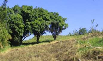 Imagem 2: CHÁCARA em Caçapava - SP, Recanto do Sol