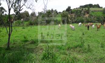 Imagem 4: Chácara localizada no bairro: Borda da Mata- Caçapava SP