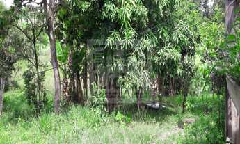 Imagem 5: Chácara localizada no bairro: Borda da Mata- Caçapava SP