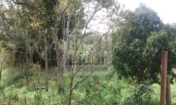 Imagem 7: Chácara localizada no bairro: Borda da Mata- Caçapava SP