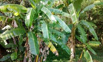 Imagem 5: Chácara localizada no bairro: Guamirim- Caçapava SP