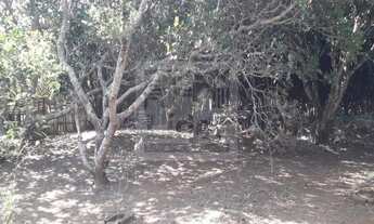 Imagem 6: Chácara localizada no bairro: Guadalupe- Caçapava SP