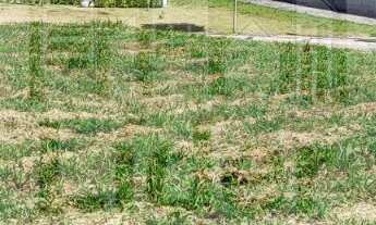 Imagem 3: TERRENO RESIDENCIAL em CAÇAPAVA - SP, COND. ECOPARK BOURBON