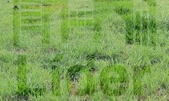 Imagem 3: TERRENO RESIDENCIAL em CAÇAPAVA - SP, COND. RESIDENCIAL MALIBU