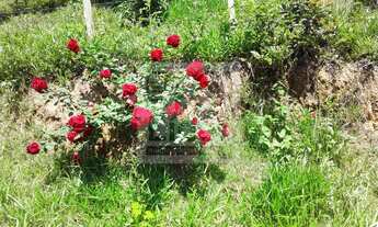 Imagem 5: SITIO RESIDENCIAL em SÃO LUIZ DO PARAITINGA - SP, SÃO SEBASTIÃO