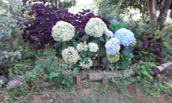 Imagem 2: SITIO RESIDENCIAL em SÃO LUIZ DO PARAITINGA - SP, SÃO SEBASTIÃO