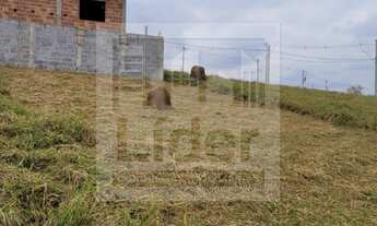 Imagem 3: TERRENO RESIDENCIAL em CAÇAPAVA - SP, RESIDENCIAL AMOR