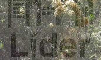 Imagem 2: TERRENO RESIDENCIAL em CAÇAPAVA - SP, GUADALUPE