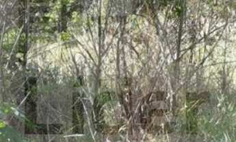 Imagem 3: TERRENO RESIDENCIAL em CAÇAPAVA - SP, GUADALUPE