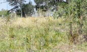 Imagem 5: TERRENO RESIDENCIAL em CAÇAPAVA - SP, GUADALUPE