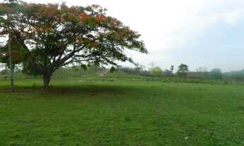 Imagem: FAZENDA em Carolina - MA