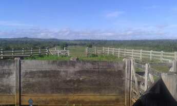Imagem: Fazenda à venda em Guarantã do Norte