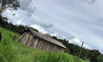 Imagem: Fazenda Guarantã do Norte para venda, MT