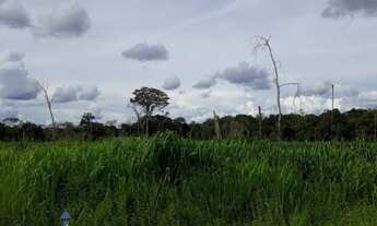 Imagem 3: Fazenda Guarantã do Norte para venda, MT