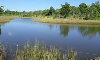 Imagem: FAZENDA RURAL em SANTA BÁRBARA DO PARÁ