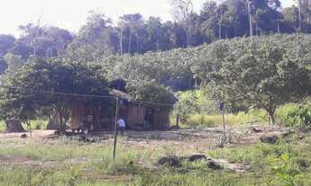 Imagem 5: 2 dormitórios na Rodovia Br 230 Transamazônica