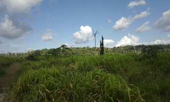 Imagem 6: 2 dormitórios na Rodovia Br 230 Transamazônica