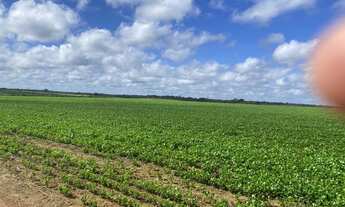 Imagem: FAZENDA RURAL em MACAPÁ - AP, CENTRAL