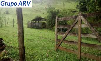 Imagem: Sítio com 6 Alqueires em Socorro