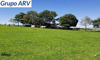 Imagem: Fazenda com 971 alqueires no Paraná